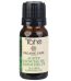 Organic Care Essential Oil Aceite Esencial Arbol Te 10ml Tahe